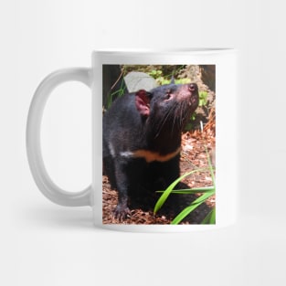 Tasmanian Devil Mug
